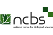 Logo 29